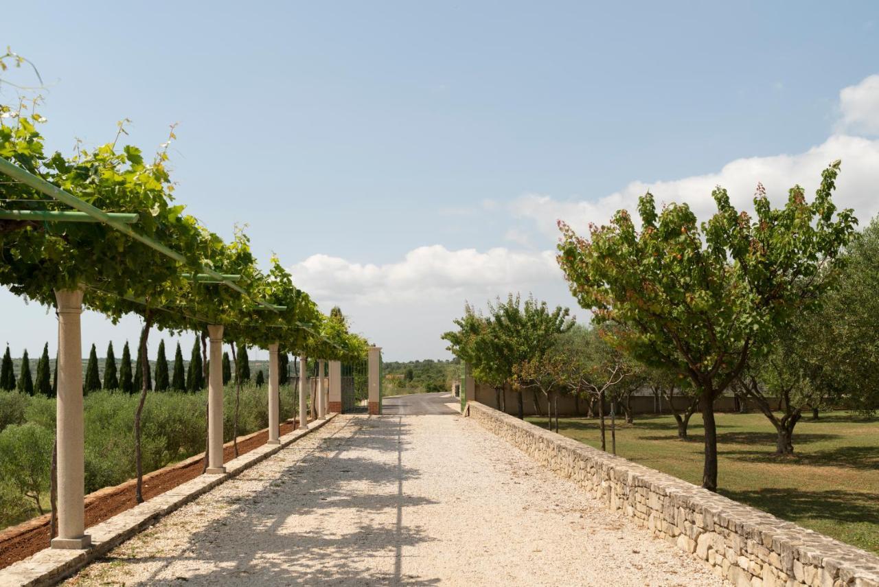 Villa Albina & Domenica Zadar Eksteriør bilde