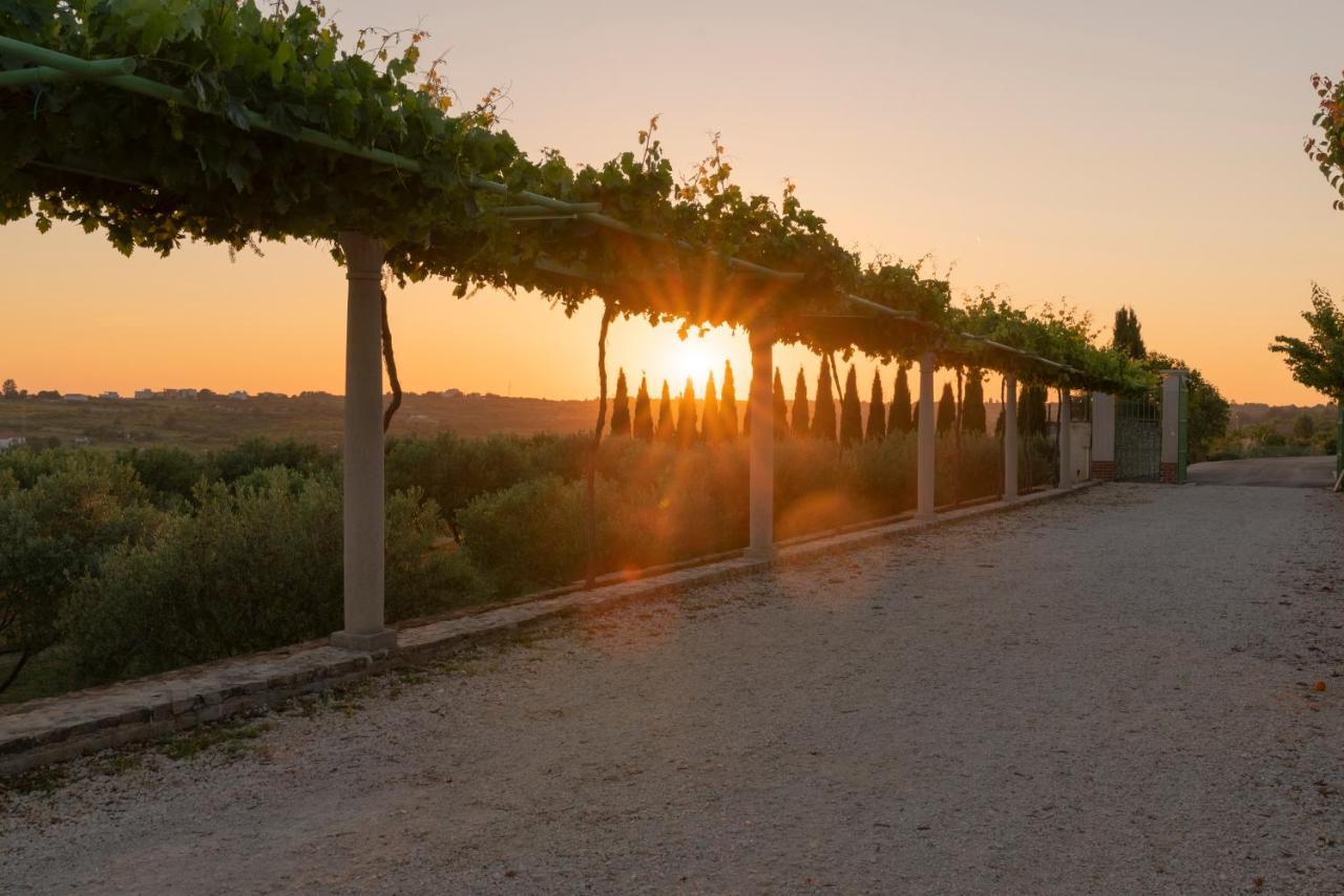 Villa Albina & Domenica Zadar Eksteriør bilde